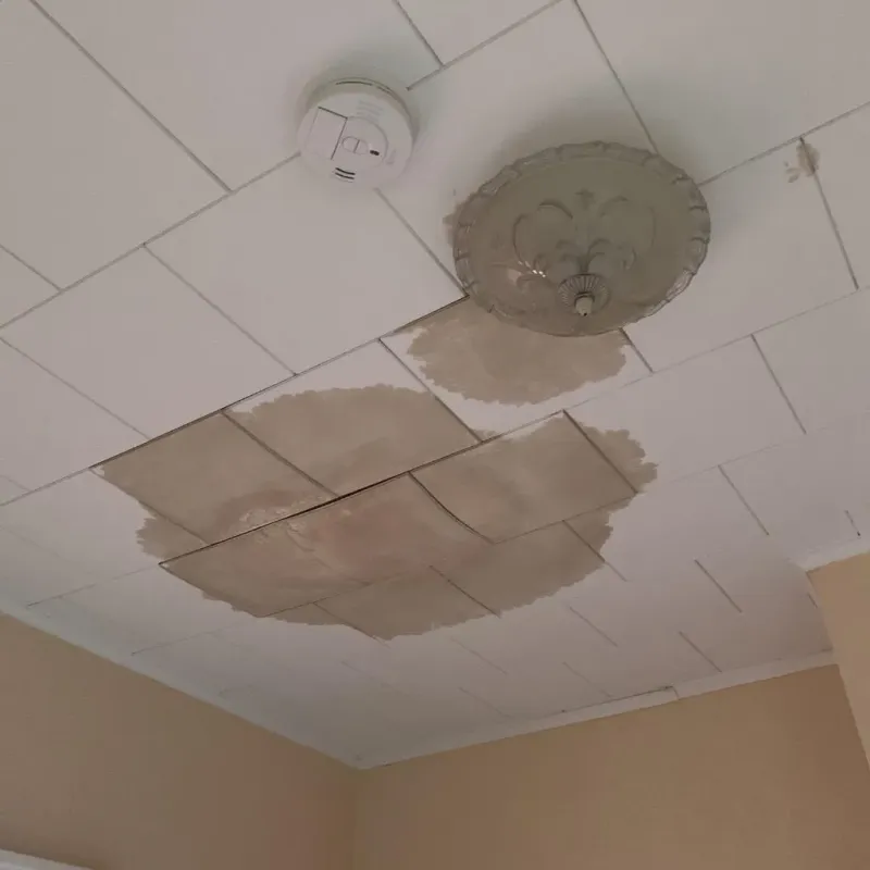 Ceiling Water Damage Repair in Pleasants County, WV