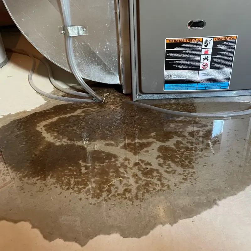 Pipe Burst and Leak Restoration in Pleasants County, WV