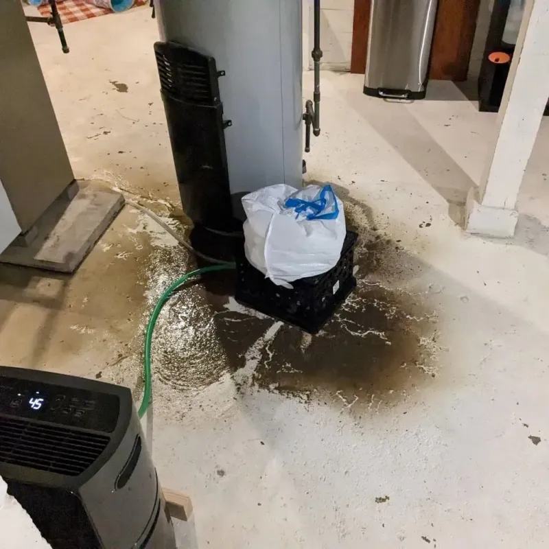Sewage Backup Cleanup Service in Pleasants County, WV